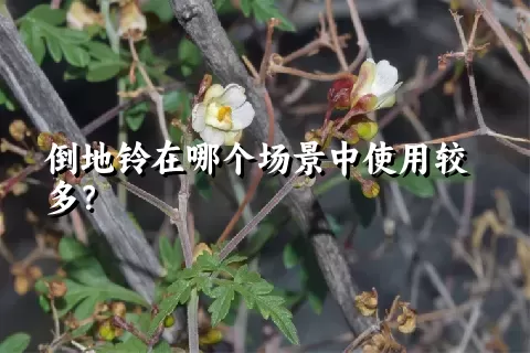 倒地铃在哪个场景中使用较多？