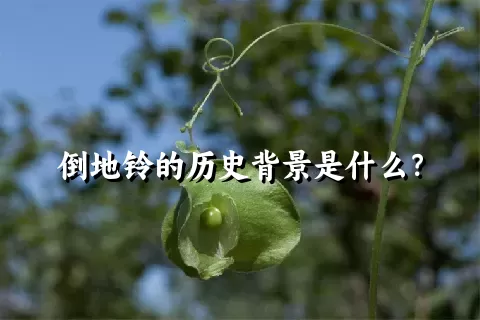 倒地铃的历史背景是什么？