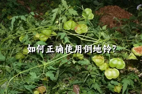 如何正确使用倒地铃？