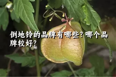 倒地铃的品牌有哪些？哪个品牌较好？