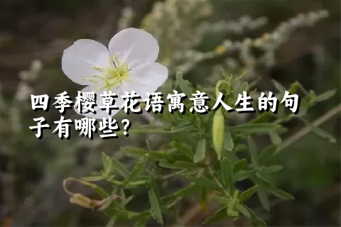 四季樱草花语寓意人生的句子有哪些？