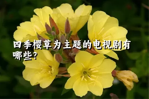 四季樱草为主题的电视剧有哪些？