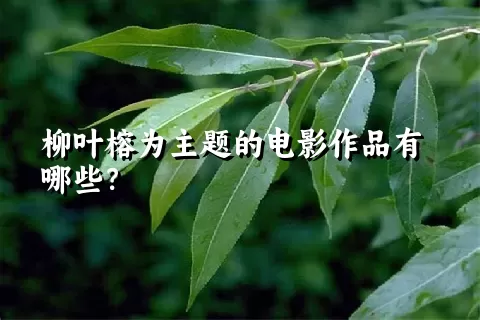 柳叶榕为主题的电影作品有哪些？