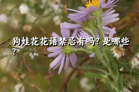 狗娃花花语禁忌有吗？是哪些？