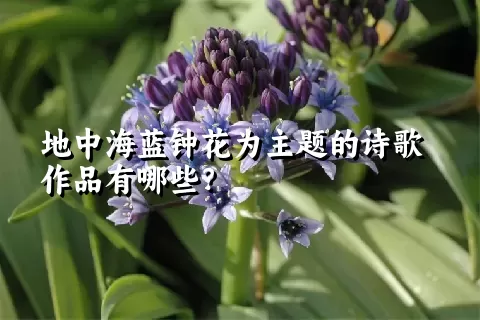 地中海蓝钟花为主题的诗歌作品有哪些？