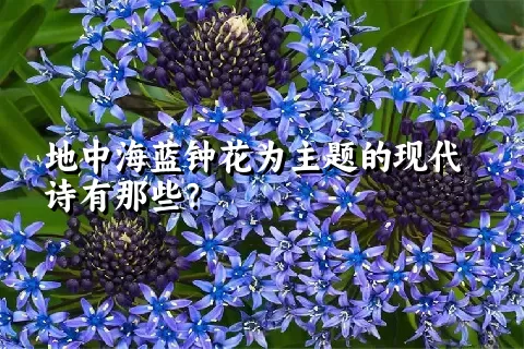 地中海蓝钟花为主题的现代诗有那些？