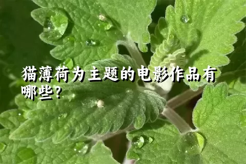 猫薄荷为主题的电影作品有哪些？
