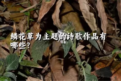 鳞花草为主题的诗歌作品有哪些？