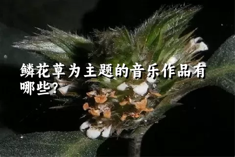 鳞花草为主题的音乐作品有哪些？
