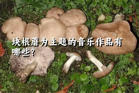 块根蘑为主题的音乐作品有哪些？