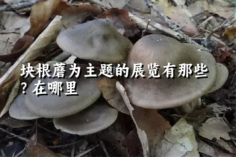 块根蘑为主题的展览有那些？在哪里