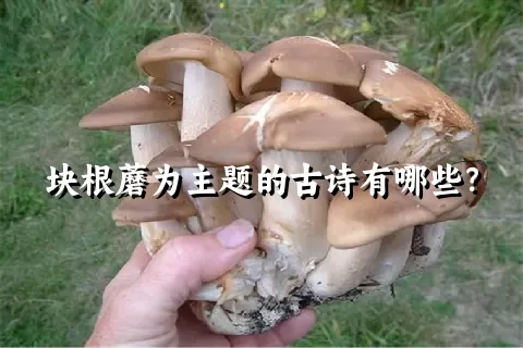 块根蘑为主题的古诗有哪些？