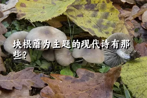 块根蘑为主题的现代诗有那些？