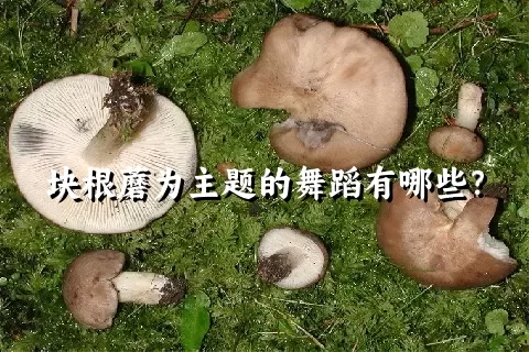 块根蘑为主题的舞蹈有哪些？
