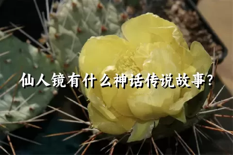 仙人镜有什么神话传说故事？