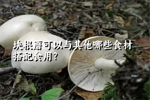 块根蘑可以与其他哪些食材搭配食用？