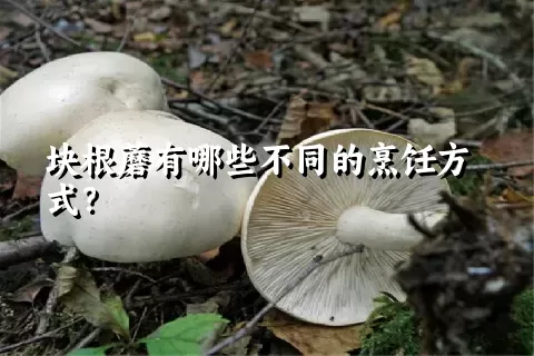 块根蘑有哪些不同的烹饪方式？