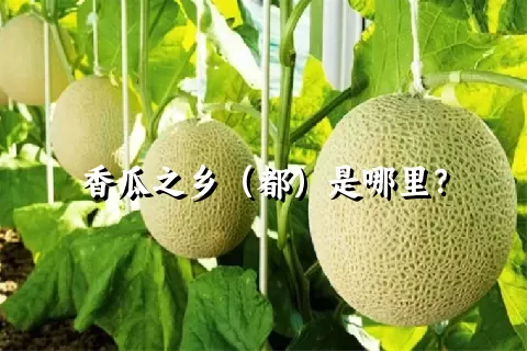 香瓜之乡（都）是哪里？