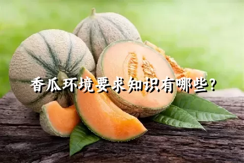 香瓜环境要求知识有哪些？