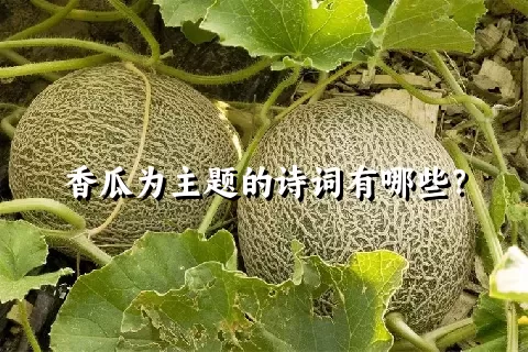 香瓜为主题的诗词有哪些？