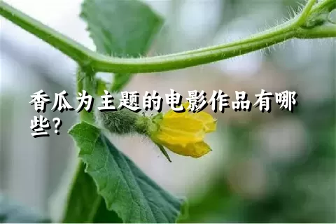 香瓜为主题的电影作品有哪些？