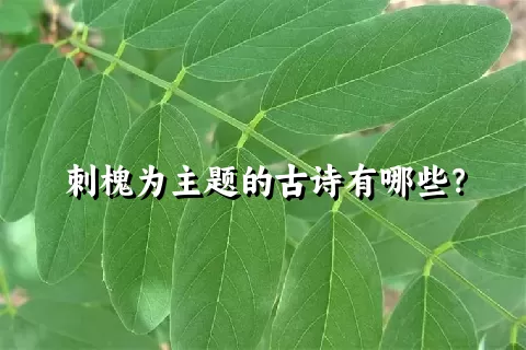 刺槐为主题的古诗有哪些？