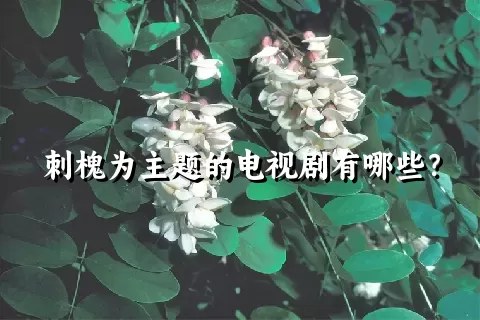 刺槐为主题的电视剧有哪些？