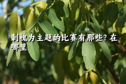 刺槐为主题的比赛有那些？在哪里