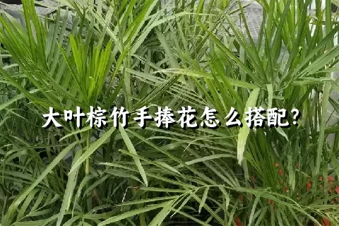 大叶棕竹手捧花怎么搭配？