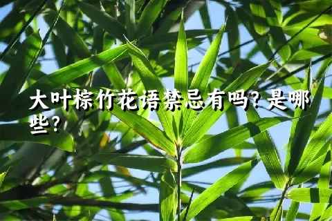 大叶棕竹花语禁忌有吗？是哪些？