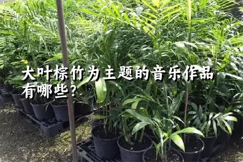 大叶棕竹为主题的音乐作品有哪些？