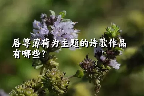唇萼薄荷为主题的诗歌作品有哪些？