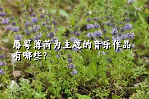 唇萼薄荷为主题的音乐作品有哪些？