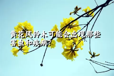 黄花风铃木可能会出现那些害虫和疾病？