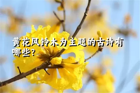 黄花风铃木为主题的古诗有哪些？