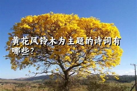 黄花风铃木为主题的诗词有哪些？