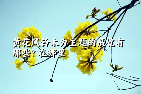 黄花风铃木为主题的展览有那些？在哪里