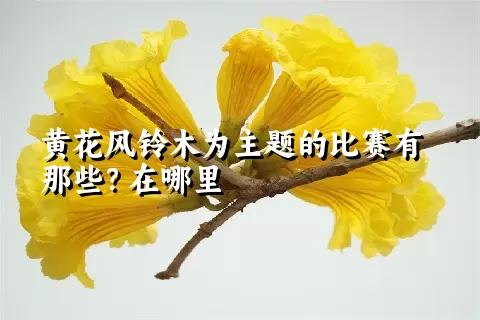 黄花风铃木为主题的比赛有那些？在哪里