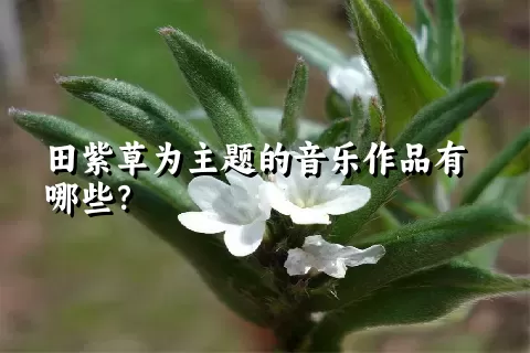 田紫草为主题的音乐作品有哪些？