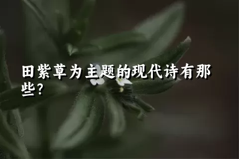 田紫草为主题的现代诗有那些？