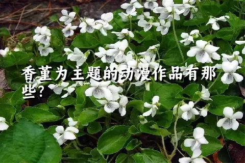 香堇为主题的动漫作品有那些？