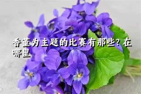 香堇为主题的比赛有那些？在哪里