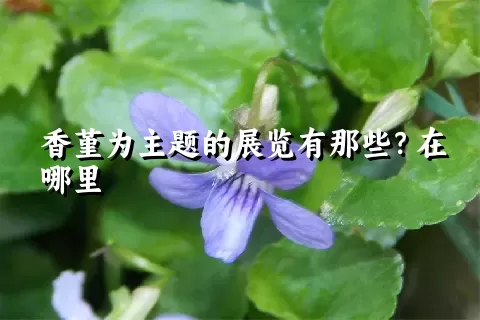 香堇为主题的展览有那些？在哪里