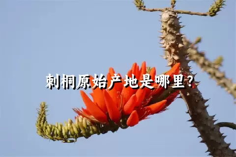 刺桐原始产地是哪里？