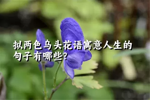 拟两色乌头花语寓意人生的句子有哪些？